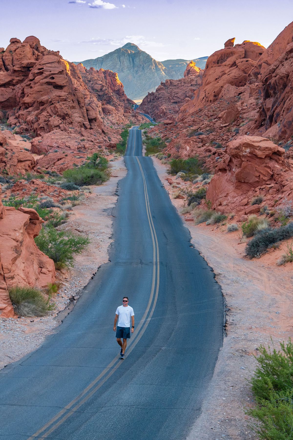 Road at Valley of Fire Nevada